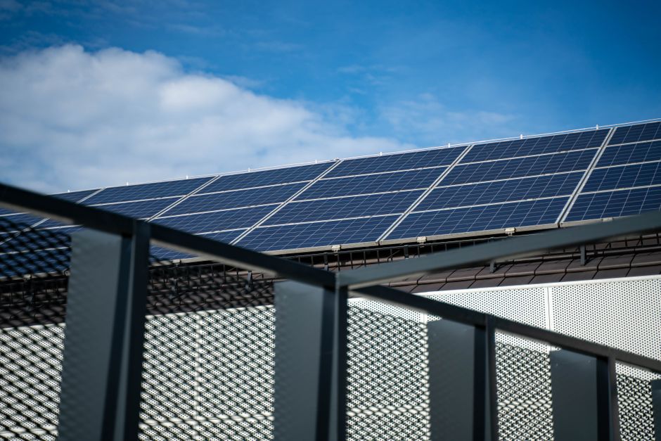 Zonnepanelen op een dak met een kauw die in de buurt vliegt, illustrerend de uitdaging van kauwen onder zonnepanelen.
